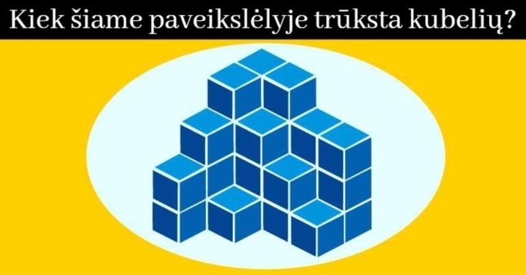 Dėmesingumo testas: kiek šiame paveikslėlyje trūksta kubelių?