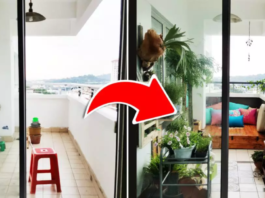 8 patarimai, kaip pakeisti balkoną. Greitai jame bus labai jauku!