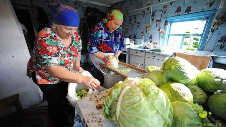 Teisingai rauginti kopūstai. Lengviausias receptas, kurį galite išbandyti!