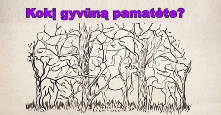 Pirmasis pastebėtas gyvūnas gali daug apie jus atskleisti