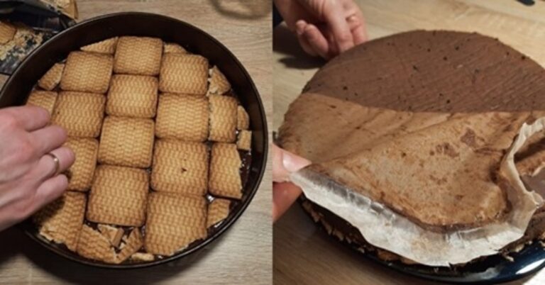 Lengvas ir labai skanus nekeptas šventinis tortas „švelnumas"