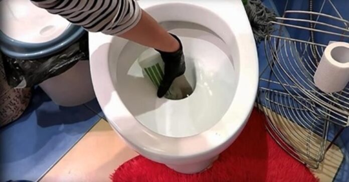 Santechnikas patarė, kaip valyti tualetą be chemikalų