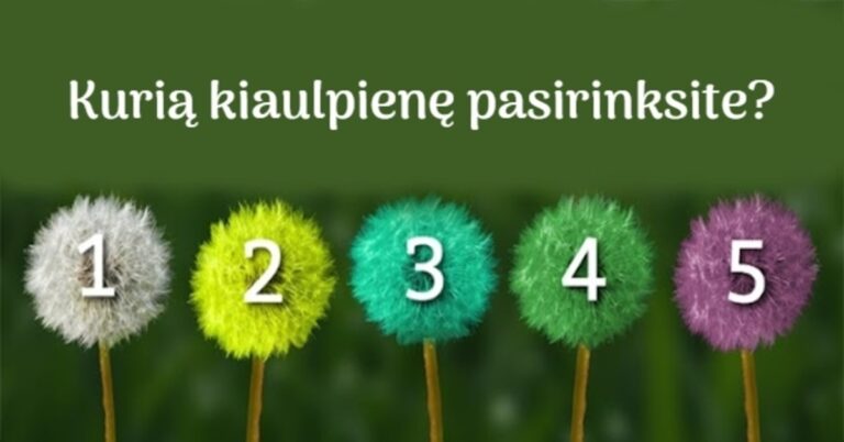 Testas: pasirinkite kiaulpienę ir gaukite pranešimą iš Visatos