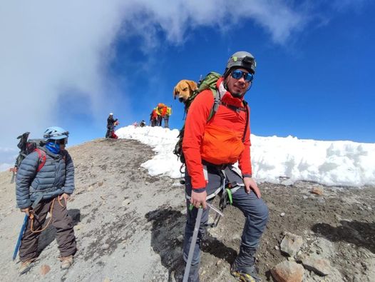 Alpinistai išgelbėjo kalnuose paliktą šunį