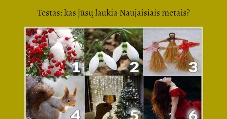 Testas: kas jūsų laukia Naujaisiais metais?