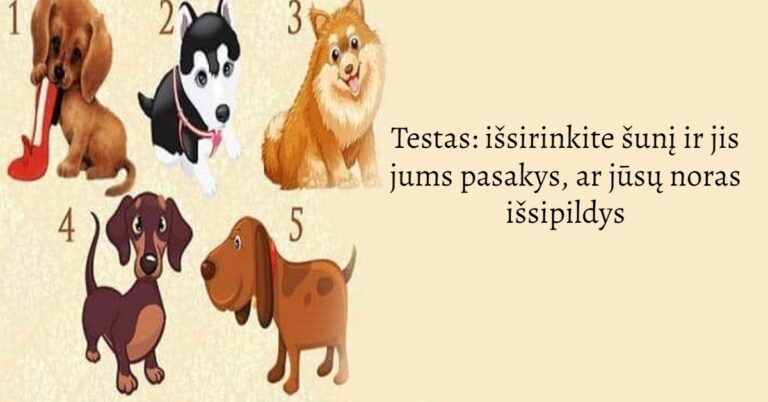 Testas: išsirinkite šunį ir jis jums pasakys, ar jūsų noras išsipildys