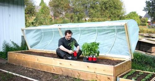 Kaip tinkamai paruošti šiltnamį prieš sodinant daržoves?