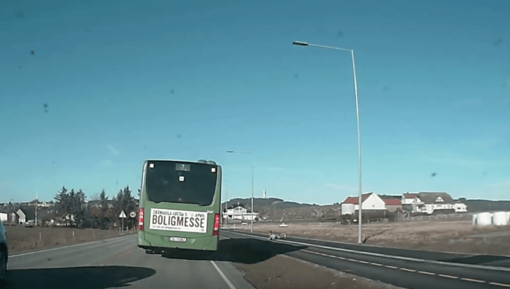 Vairuotojas staiga sustabdė autobusą: priežastis nustebins