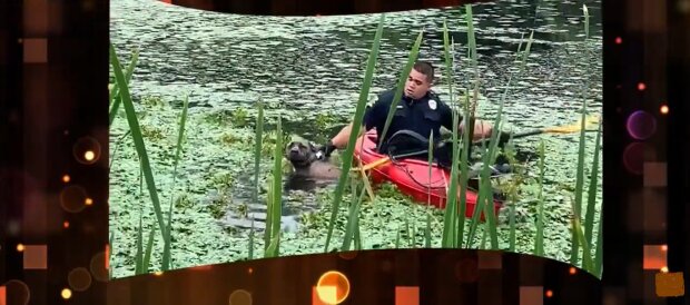 Sumanus policijos pareigūnas dumblėtame tvenkinyje su baidare išgelbėjo šunį