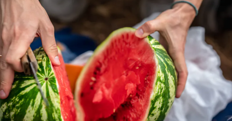 Kaip parduotuvėje išsirinkti tobulą arbūzą?