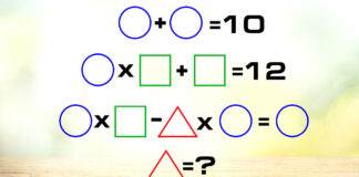Kokia yra raudono trikampio reikšmė? Logikos uždavinys