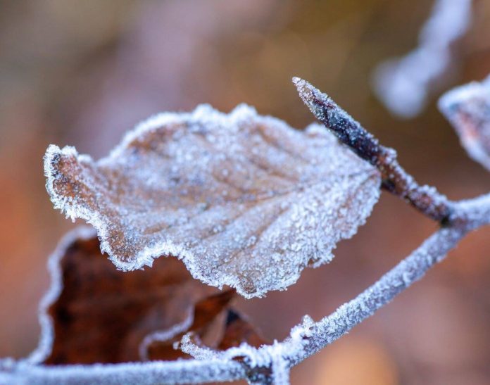 Spalio pradžios orų prognozė